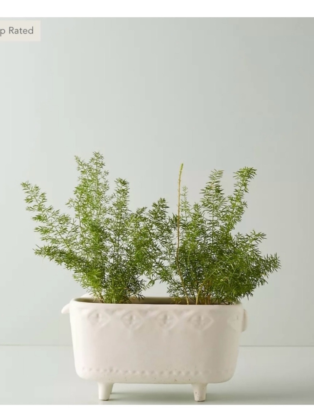 Anthropologie Terracotta Sheep 🐑 Planter 🪴 - Picture 2 of 13